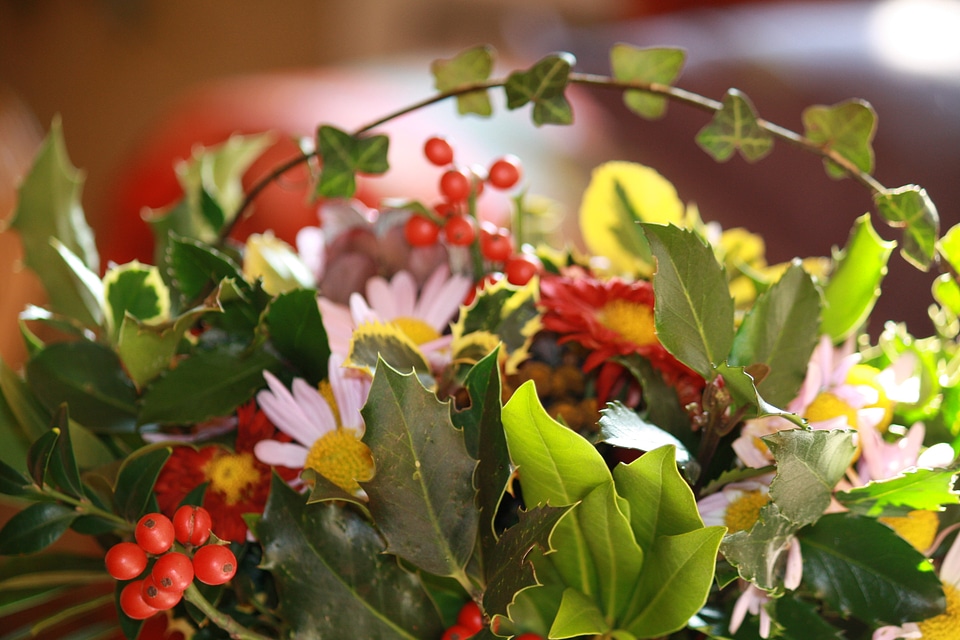 Bouquet bouquets plant