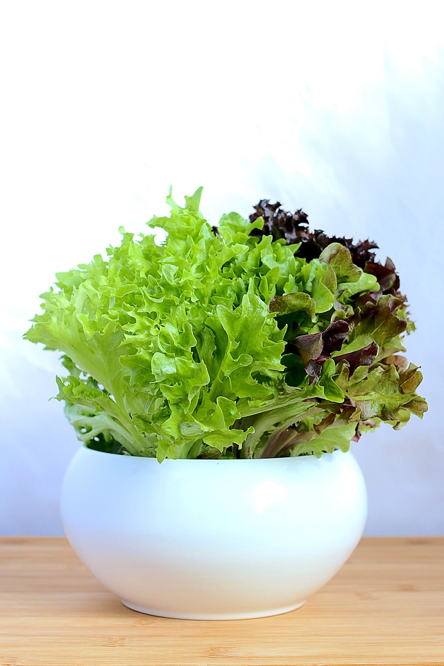 Fresh Lettuce Greens In Bowl