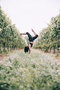 Handstand And Balance In Trees photo