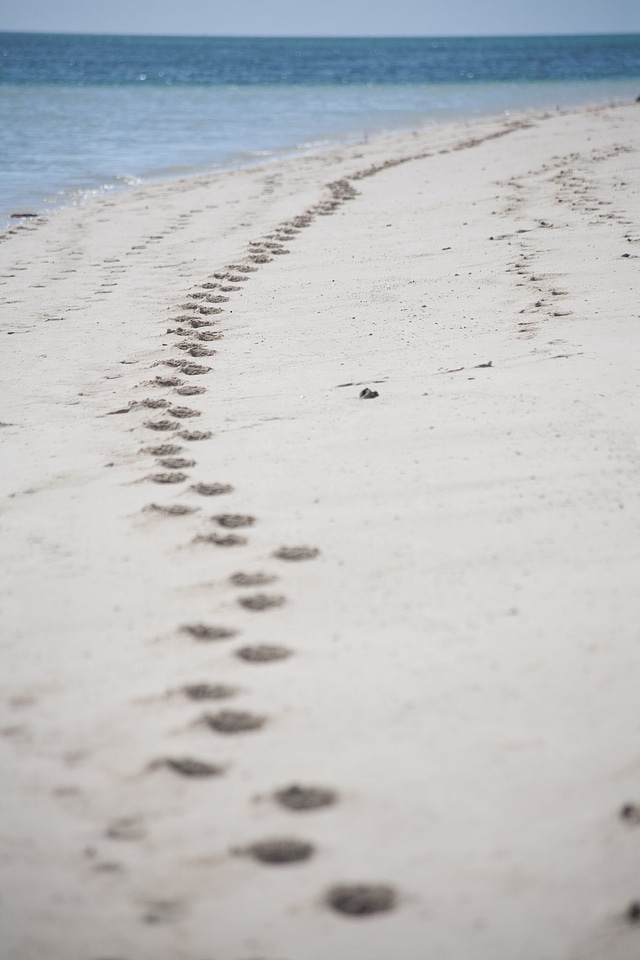 Australian Beach Footprints