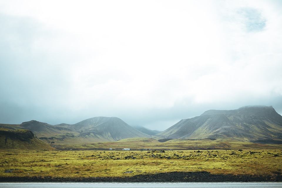 Grassy Summer In Iceland