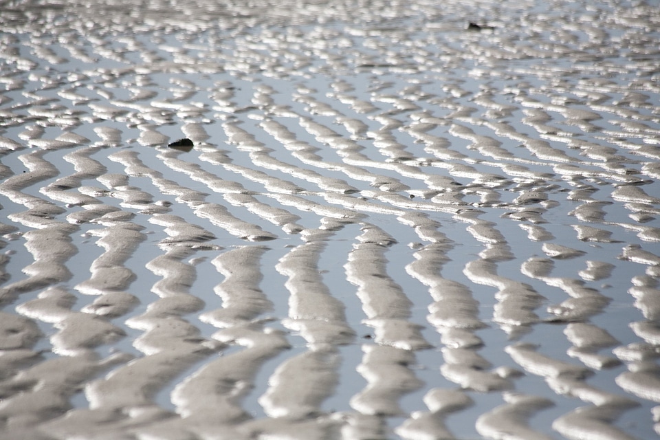 Rippled Ocean Beach Sand