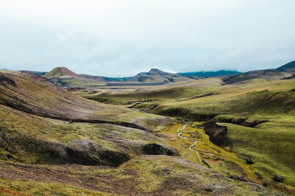 Green Fields in Iceland