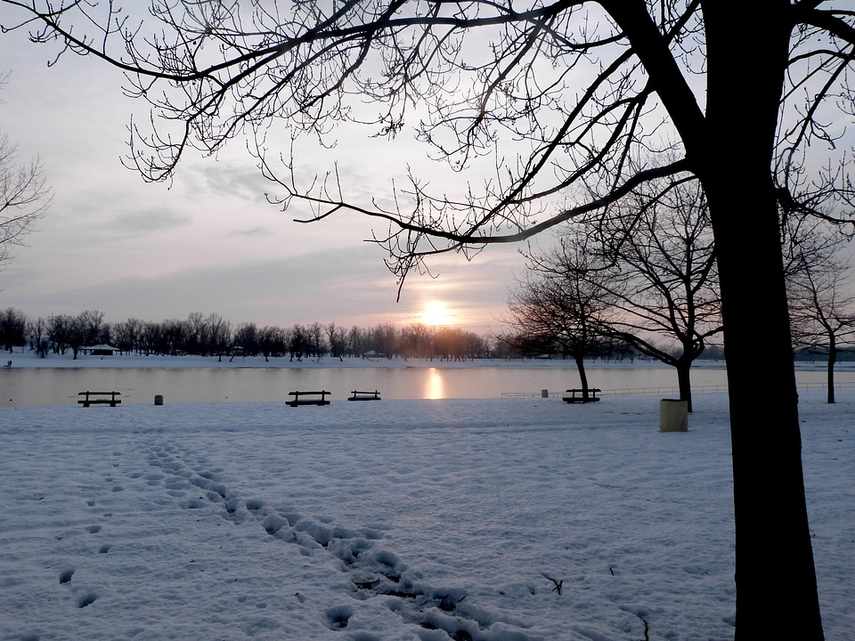 Landscape cold season
