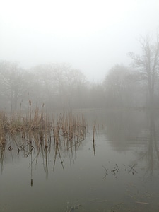 Lake landscape forest photo