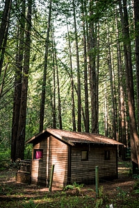 Small Cabin In The Woods photo