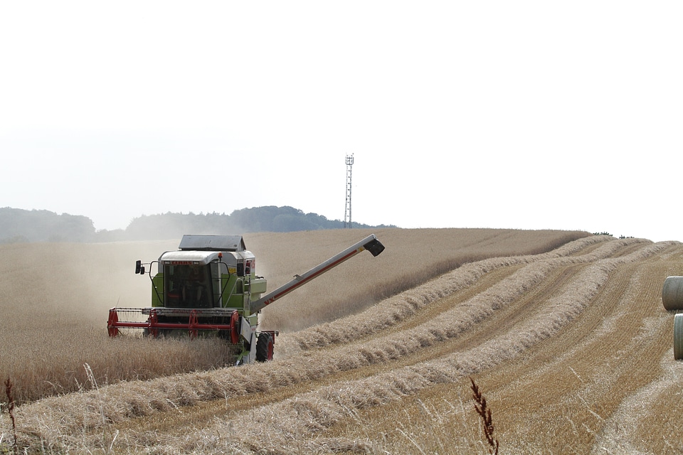Landscape straw hay bales