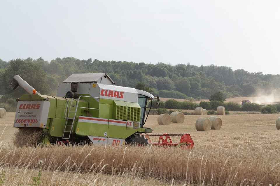 Landscape straw hay bales