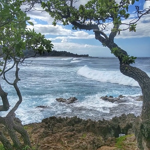 Paradise tropical ocean photo