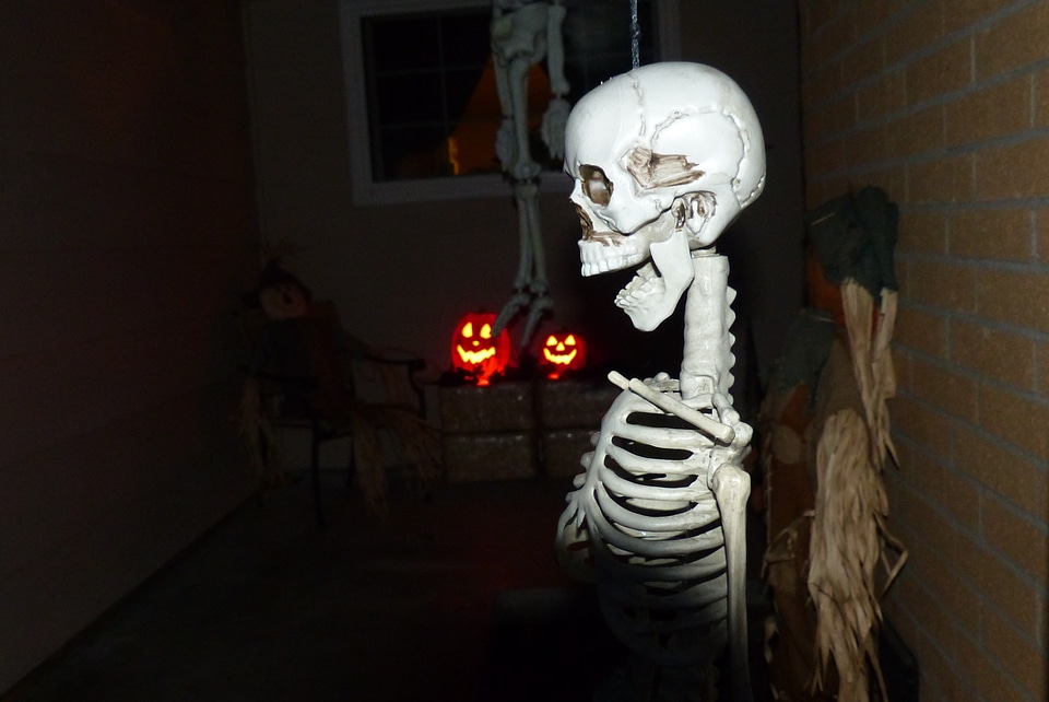Holiday bones skull