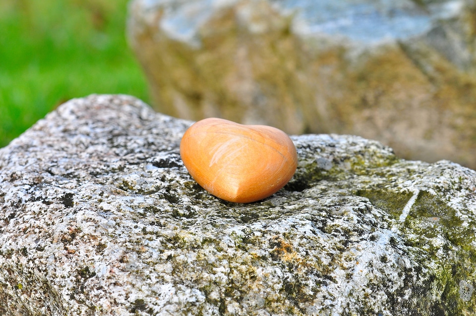 Nature wooden heart macro