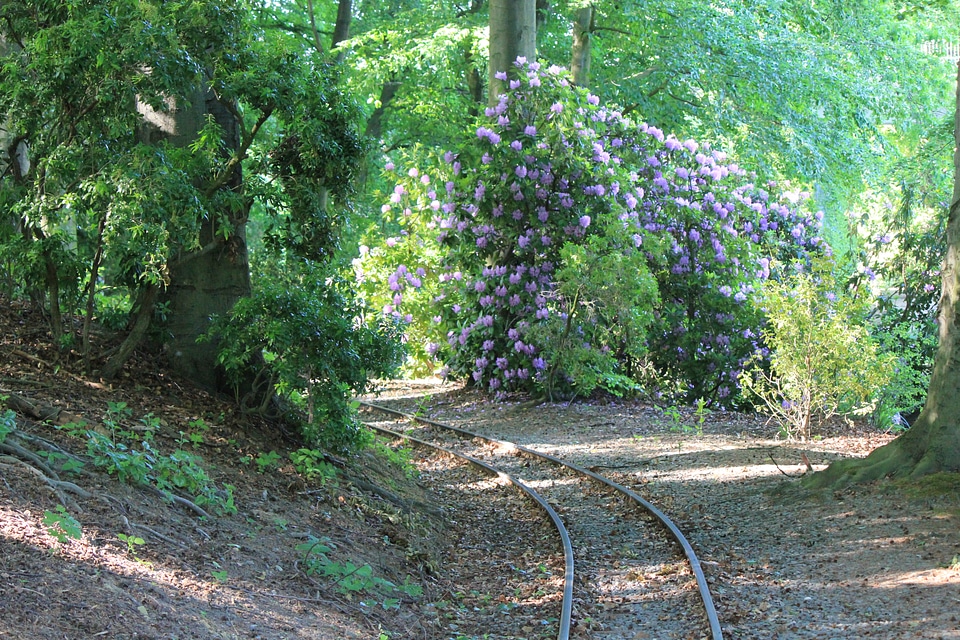 Small railway in Gruga Park in Essen