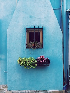 Window Flower Box with Blooming Flowers against Blue Wall photo
