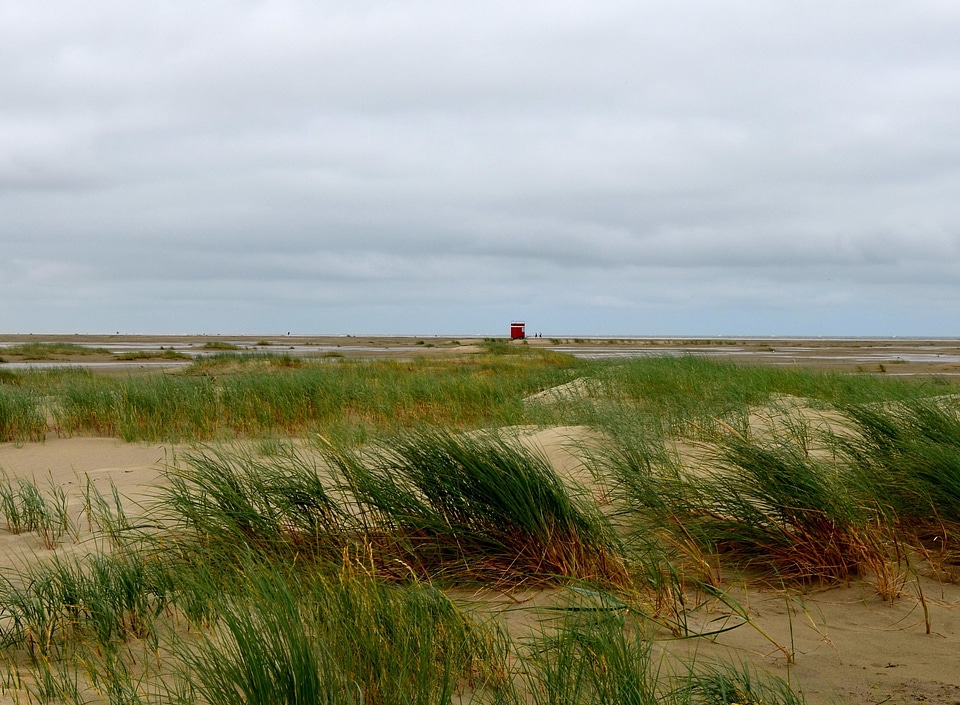 Agriculture beach countryside