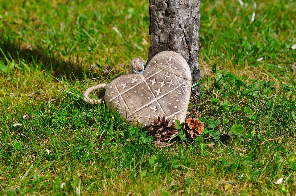 Wood grass nature
