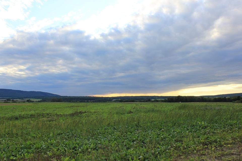 View over green-fields in Harz area