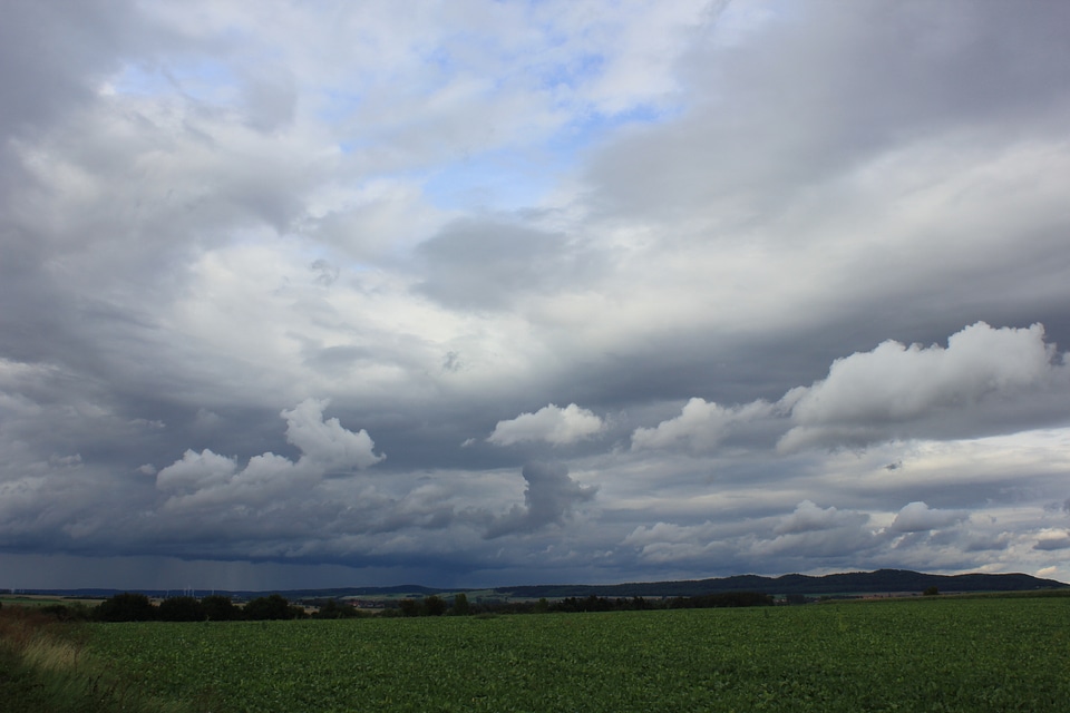 Sea of clouds over field