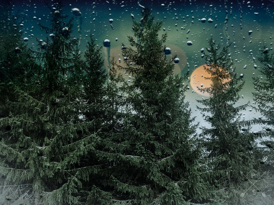 Raindrop rain window