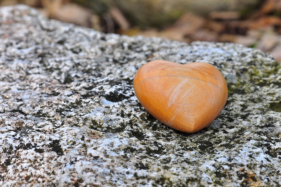 Heart wooden heart nature