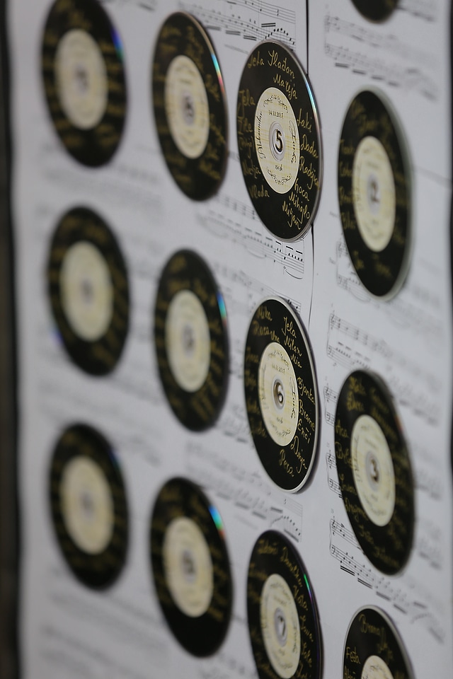 Vinyl Plate musical melody