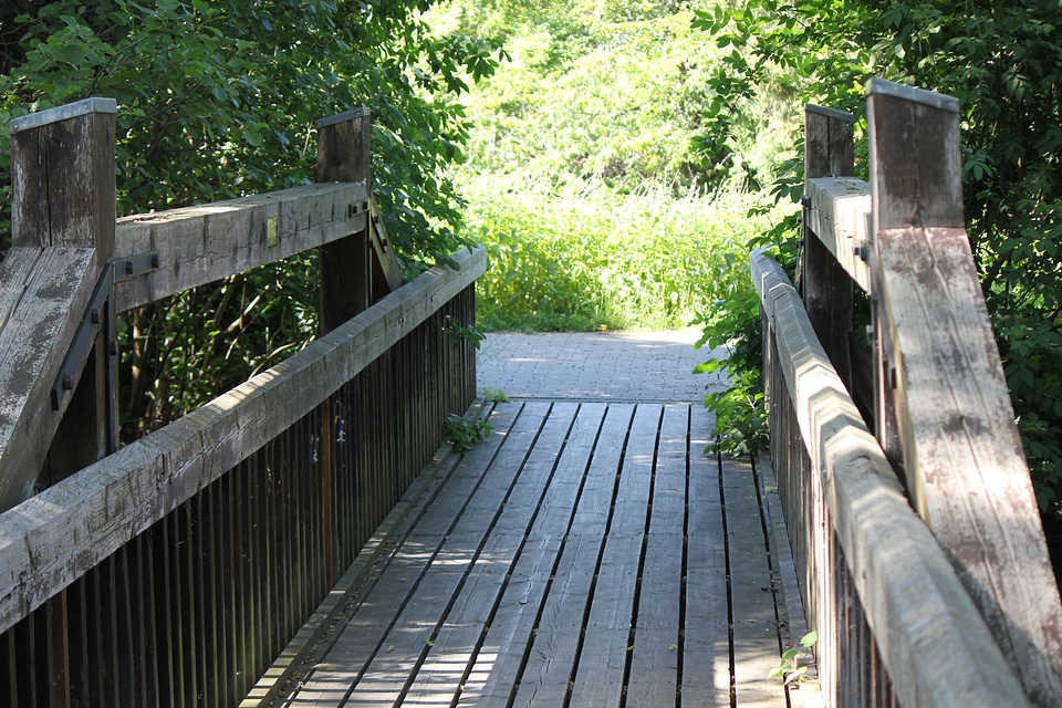 Small wooden bridge