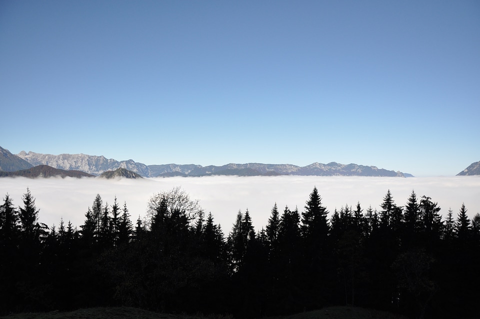 View on to the cloud ceiling from Jenner mountain
