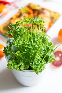 Fresh parsley and oranges