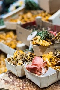 Mushrooms at farmers market photo