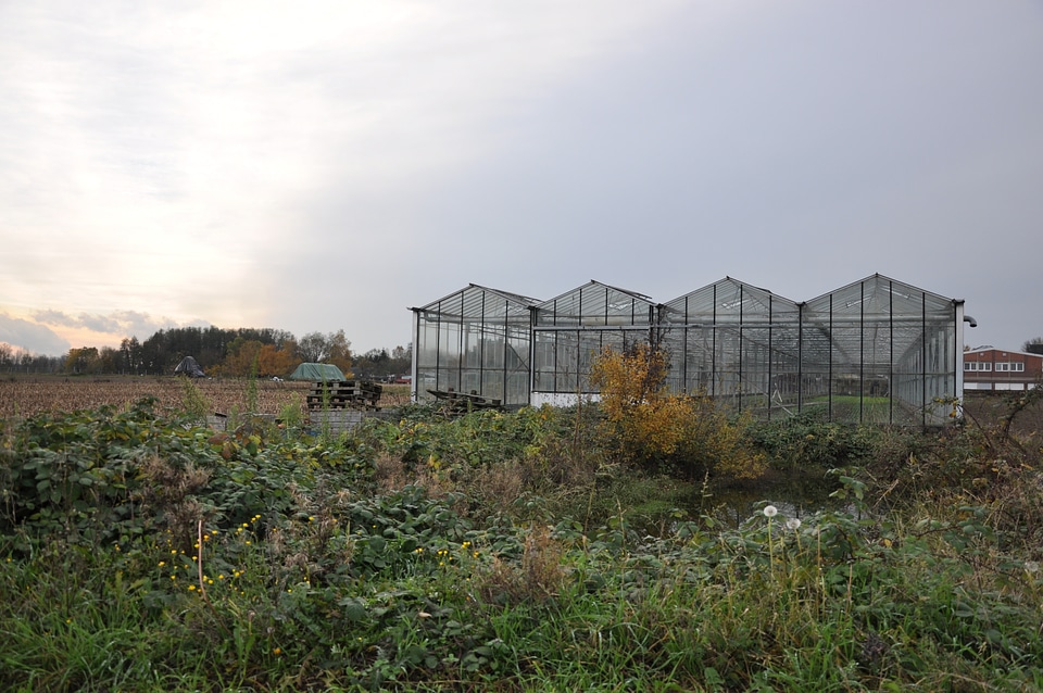 Lonely greenhouse on the fields