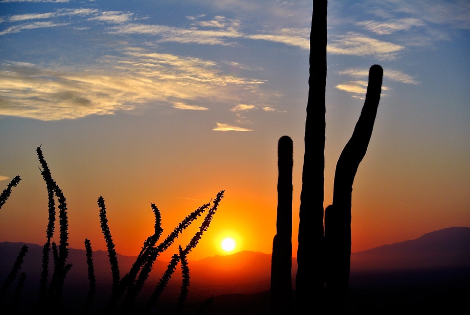 Landscape nature arizona