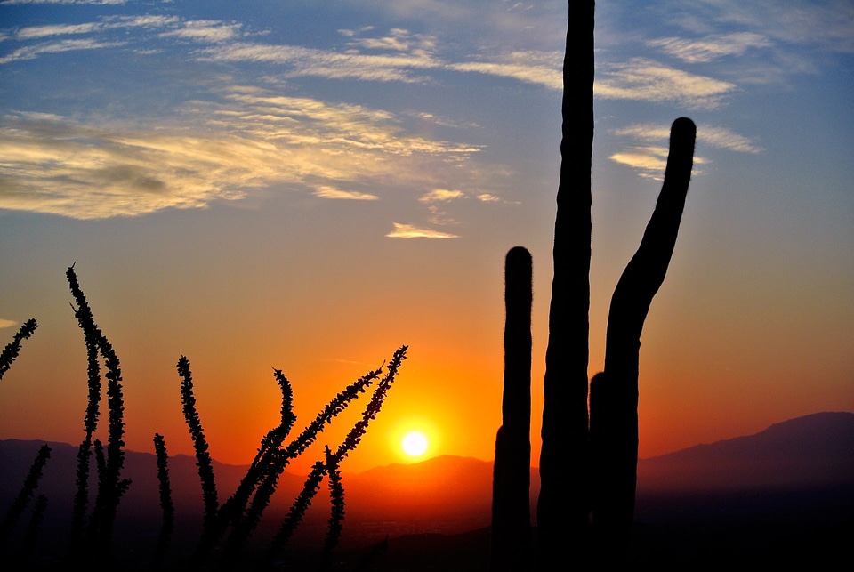 Landscape nature arizona photo