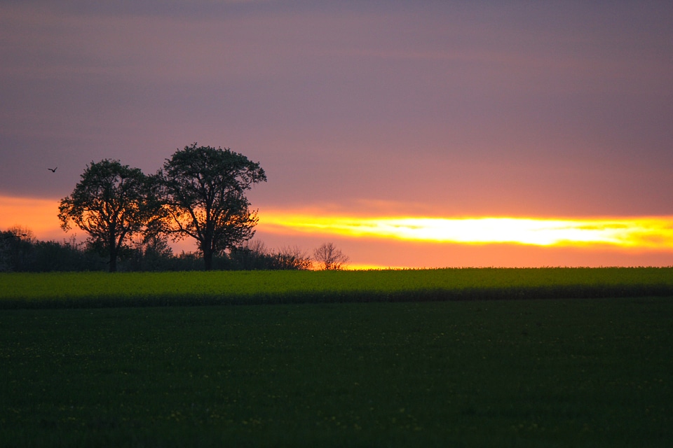 Red sun stripe at horizon