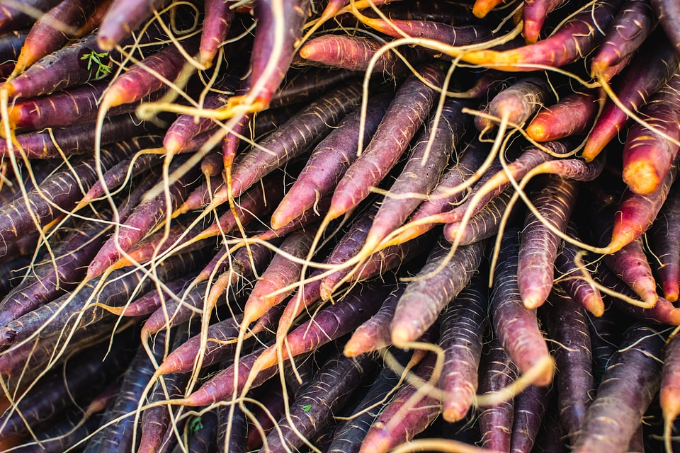 Red carrots at farmers market