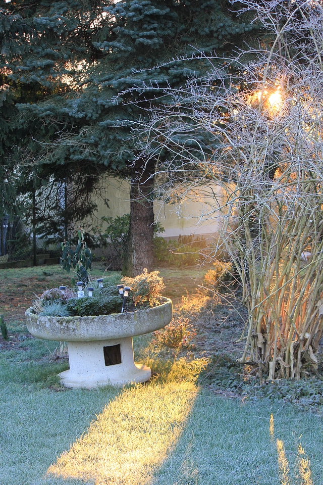 Sunbeam breaks through trees