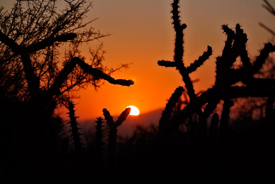 Landscape nature arizona