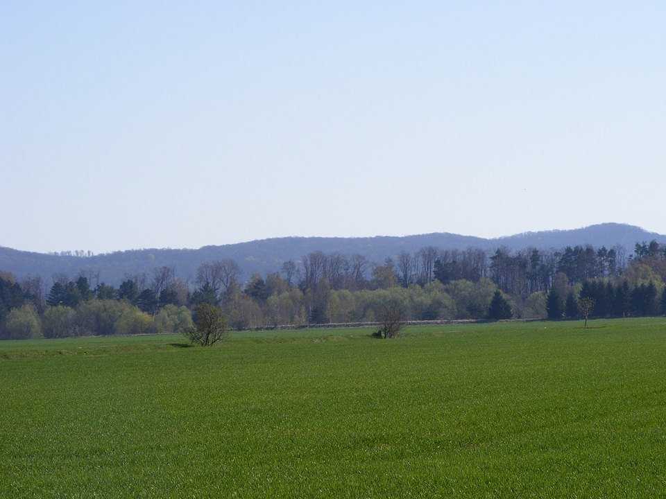 Green grassland in the Harz’ foothills