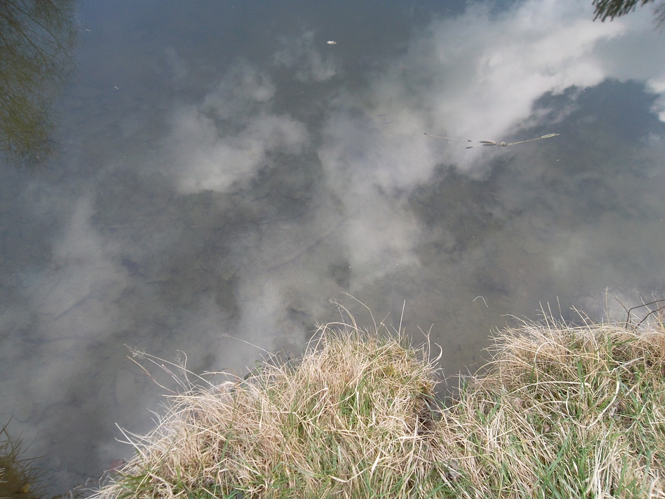 Clouds reflecting in a pond
