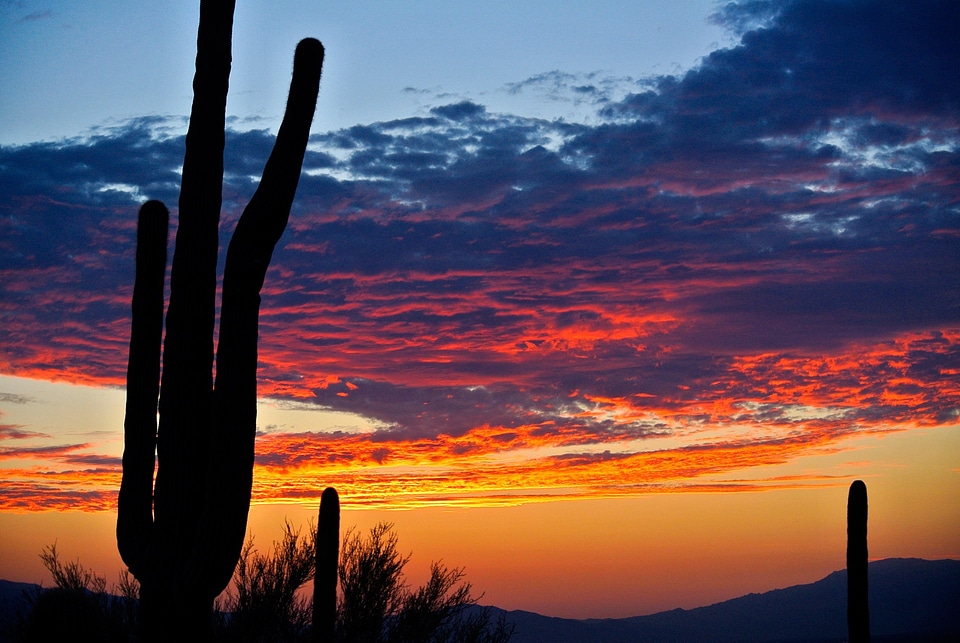 Landscape nature arizona photo