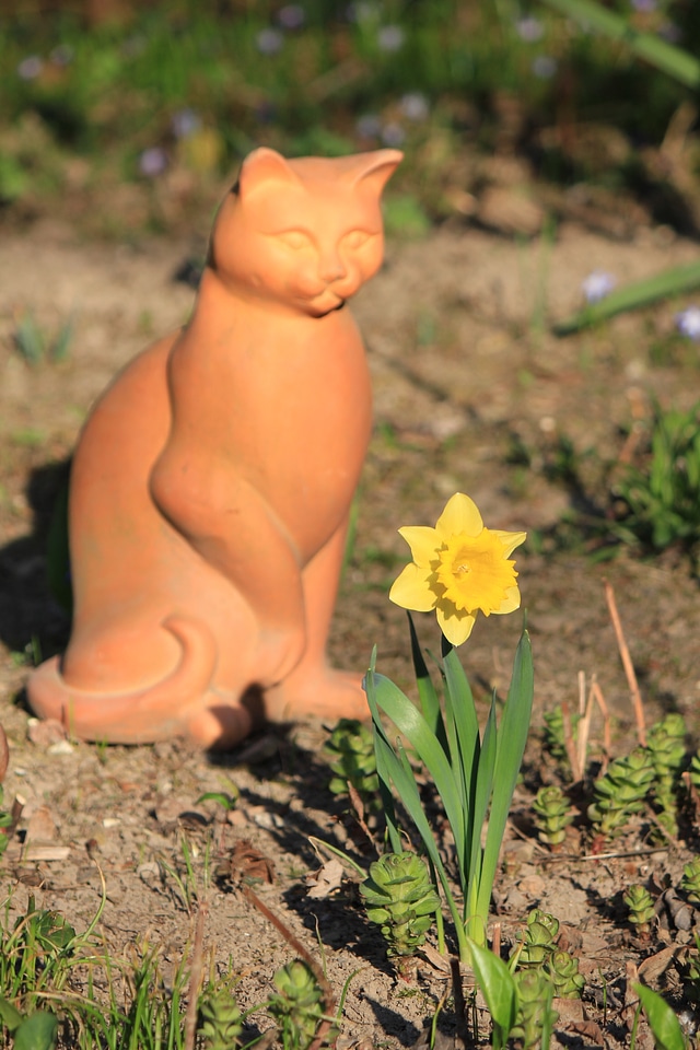 Cat clay figure behind a yellow flower