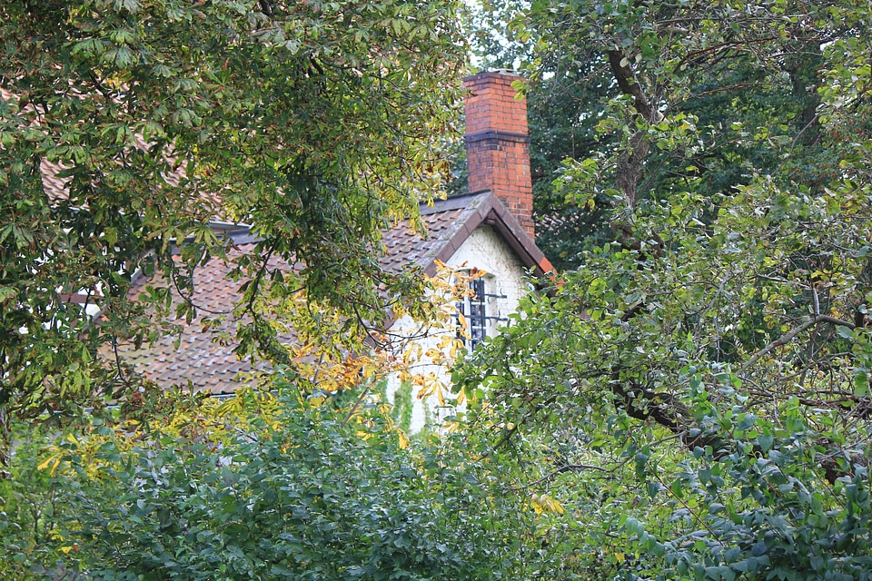 Old house, hidden behind the trees
