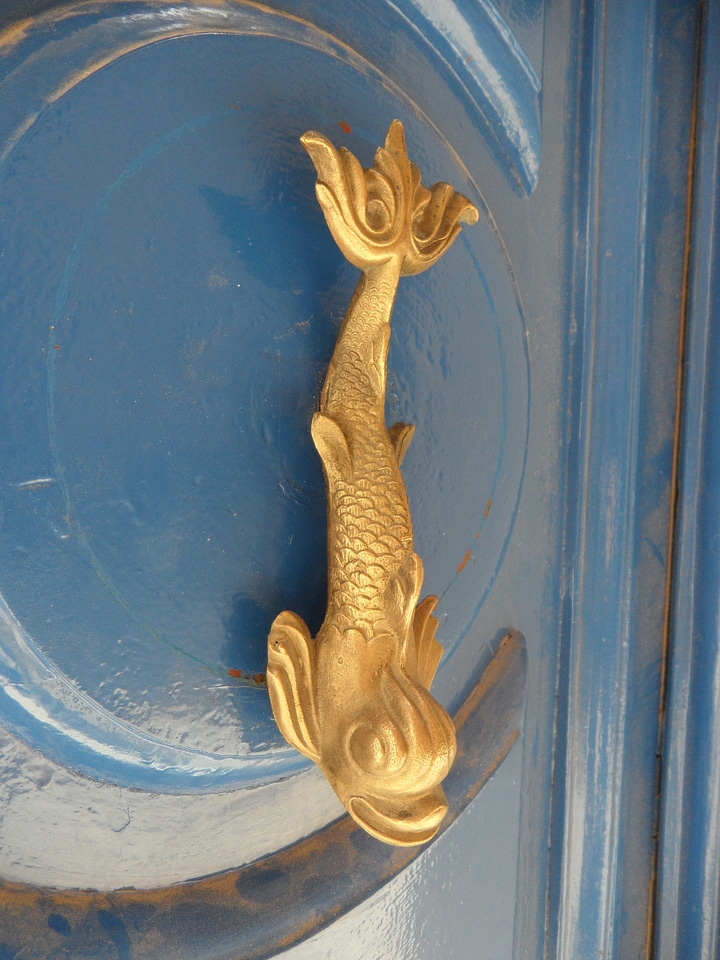 Old door metal fish
