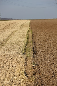 Cornfield and acre – side by side