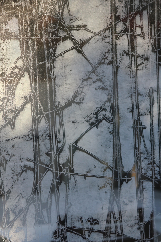 Frost flowers on a window