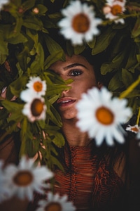 Woman Lying in Flowers photo