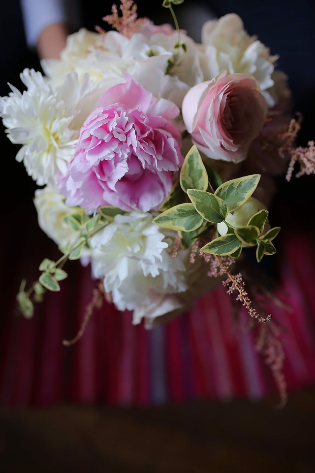 Flowers rose flower