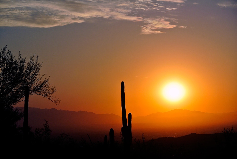 Desert landscape nature