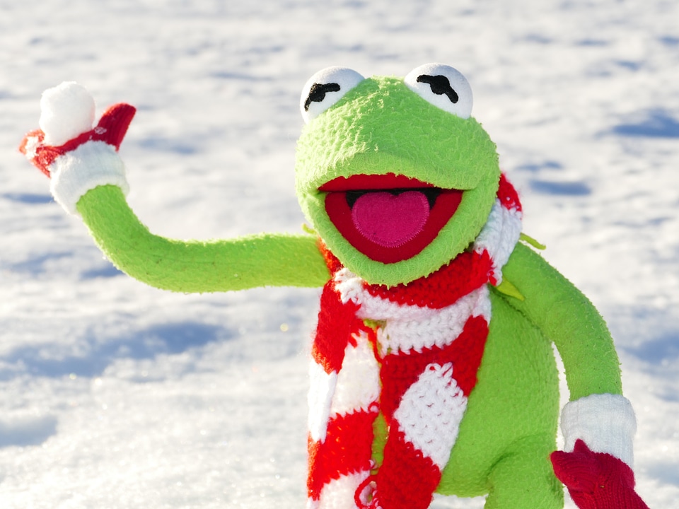Throw snow winter
