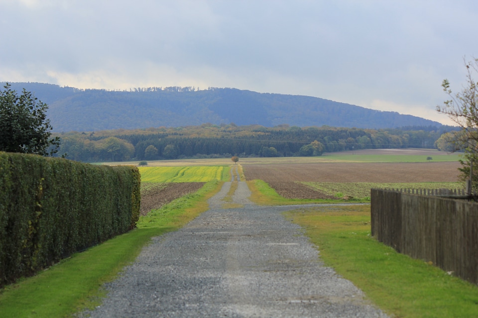 Road to the fields