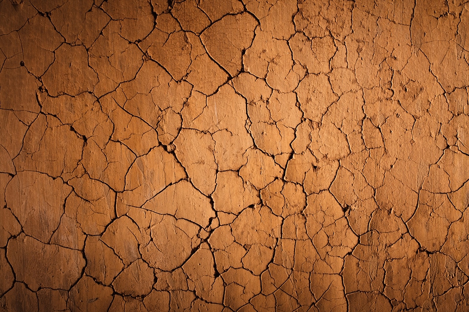 Cracks of the Dried Soil in Arid Season