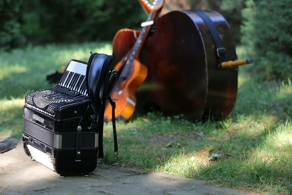 Music instrument guitar